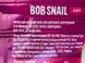Цукерки у формі тваринок натуральні яблуко-смородина Равлик Боб Bob snail 20g 20шт/ящ