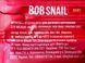 Цукерки у формі тваринок натуральні яблуко-полуниця Равлик Боб Bob snail 20g 20шт/ящ